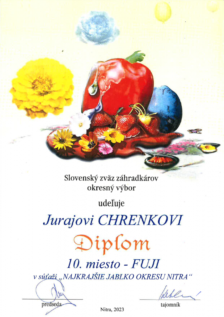 Diplom - p.&nbsp;Chrenko 