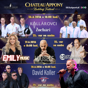 Hubný koncert